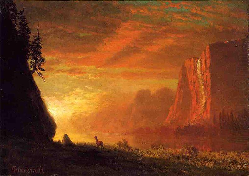 Deer at Sunset, Albert Bierstadt
